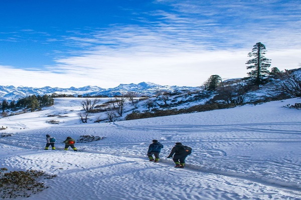 kullu to shimla cabs